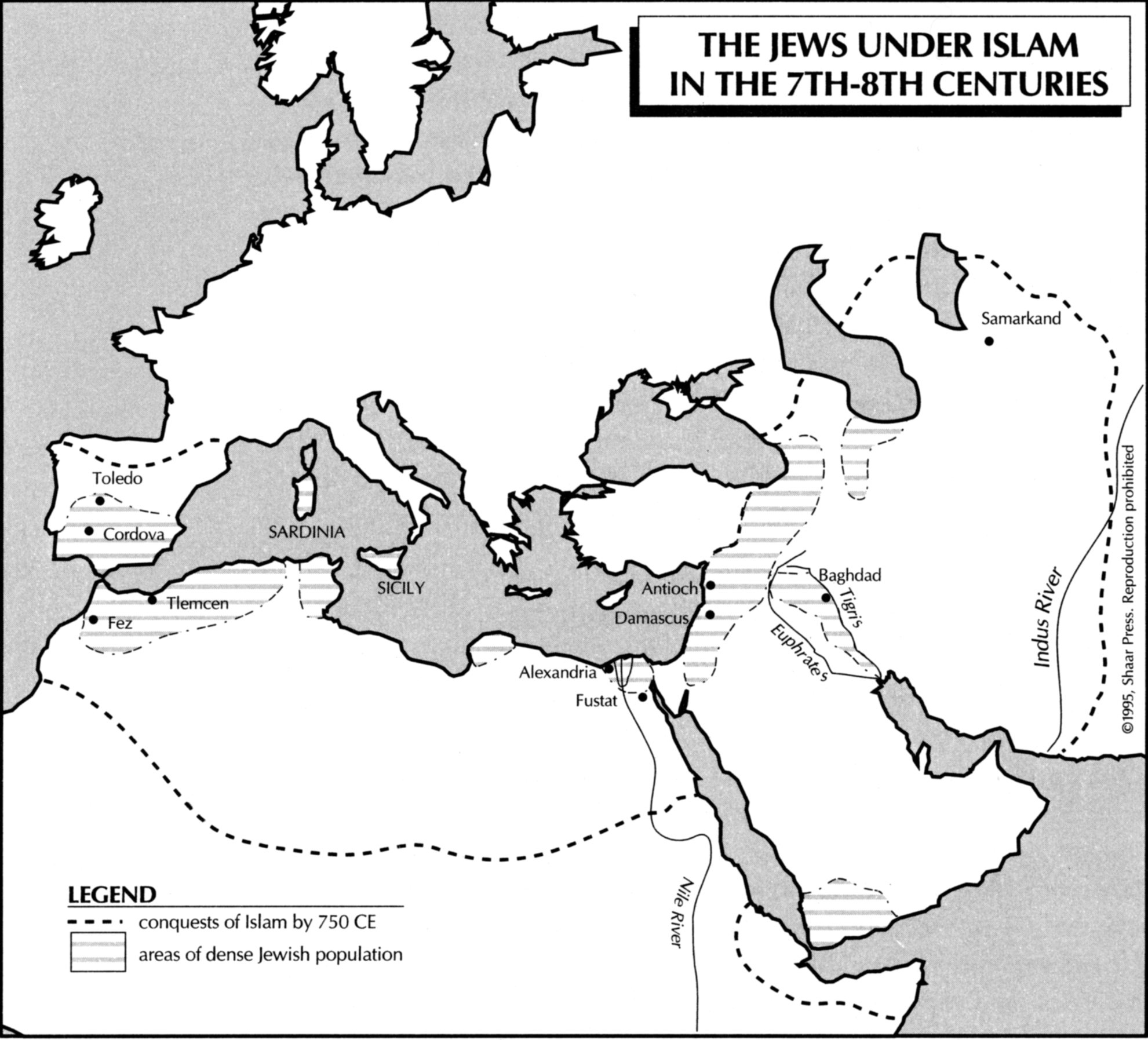 Jews Under Islam 